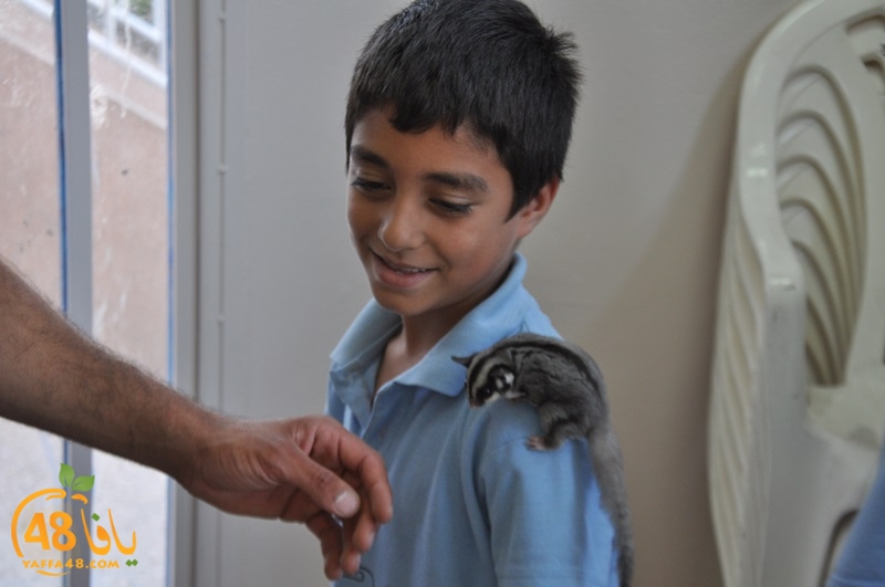 nady nhary 7san (17).JPG